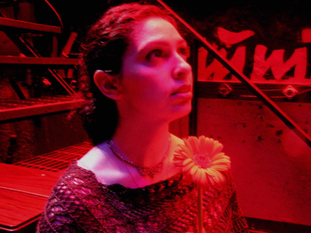 dara seitzman